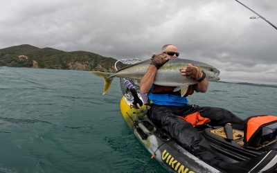 Viking Kayaks Brand Study